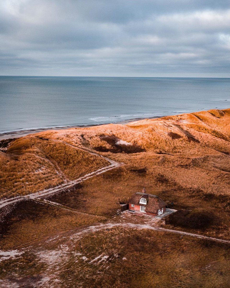 VisitDenmark tweet media