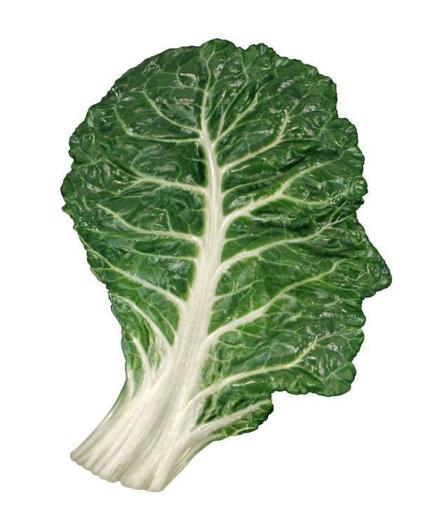MasterHypnosis7's tweet photo. Plant-based diets are best… or are they? https://t.co/ba2kqeU0bD https://t.co/e7aD3vbKNN