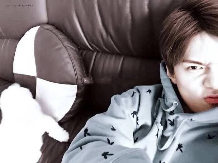 ExoHuizi's tweet photo. Have  EXO -L chat  with  me?I am  so  boring  now. https://t.co/3xl94LmcSO