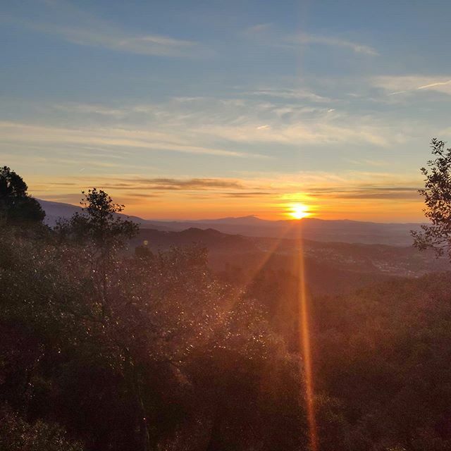 Josepe79's tweet photo. Bon dia i Bon diumenge!!!! Seguim camí de @umontseny  #elmovimentesdemostracaminant #entrenaconjoanventura #maietrendeixis #sunshine
Buenos días y Feliz Domingo!!! Seguimos camino de #ultramontseny #elmovimientosedemuestraandando #nuncaterindas
Good Morn… https://t.co/EEY3IW5kH2 https://t.co/ye0rZJhA28