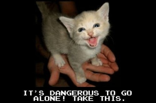 Its dangerous to go alone take this. It s could be dangerous. Backstreet girls. Its dangerous to go alone take this meme. Normal album cover.