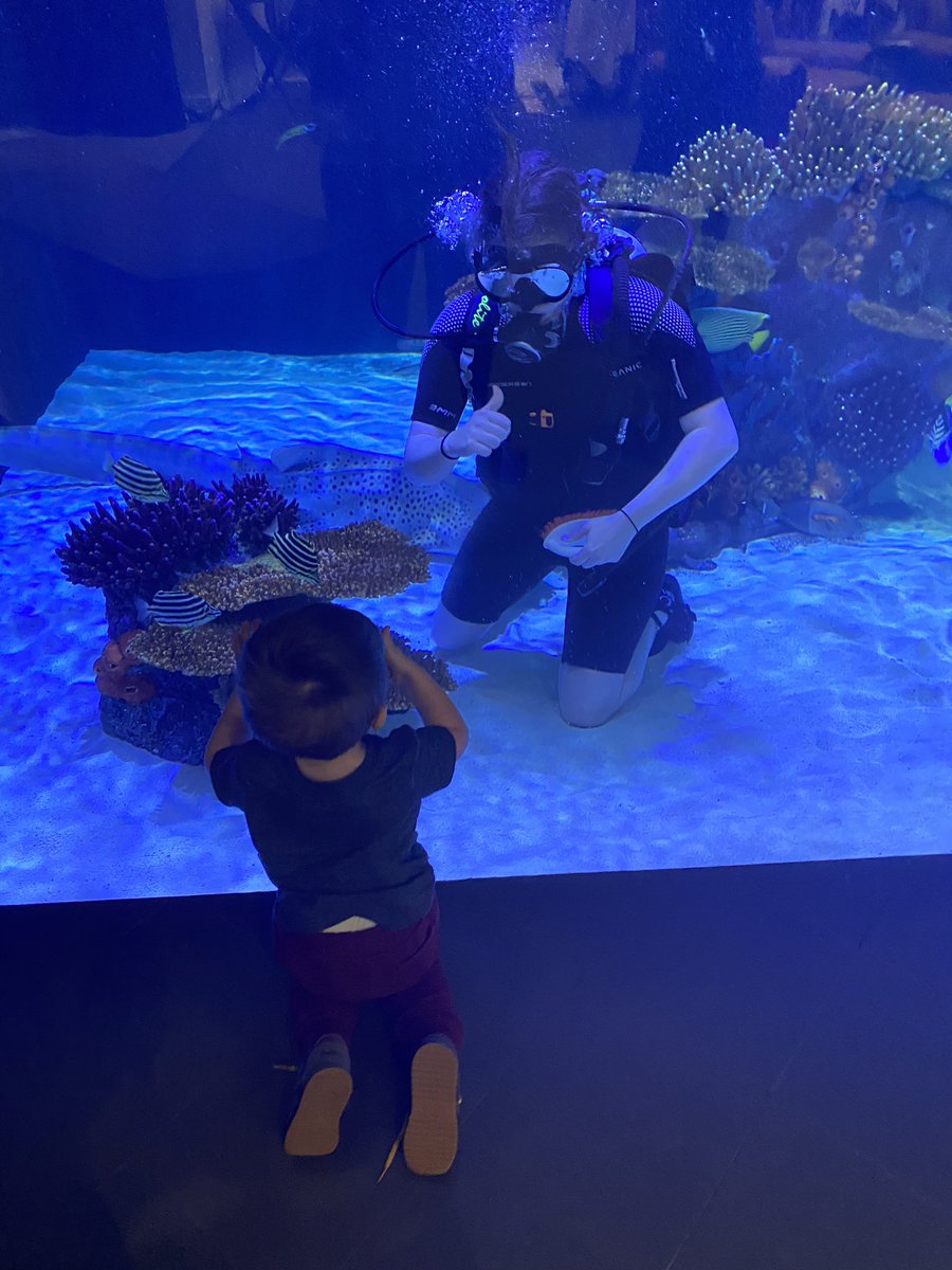 HoustonDeadpool's tweet photo. Good job diver, my son approves of the job you did l! https://t.co/sHcTIYzt8X