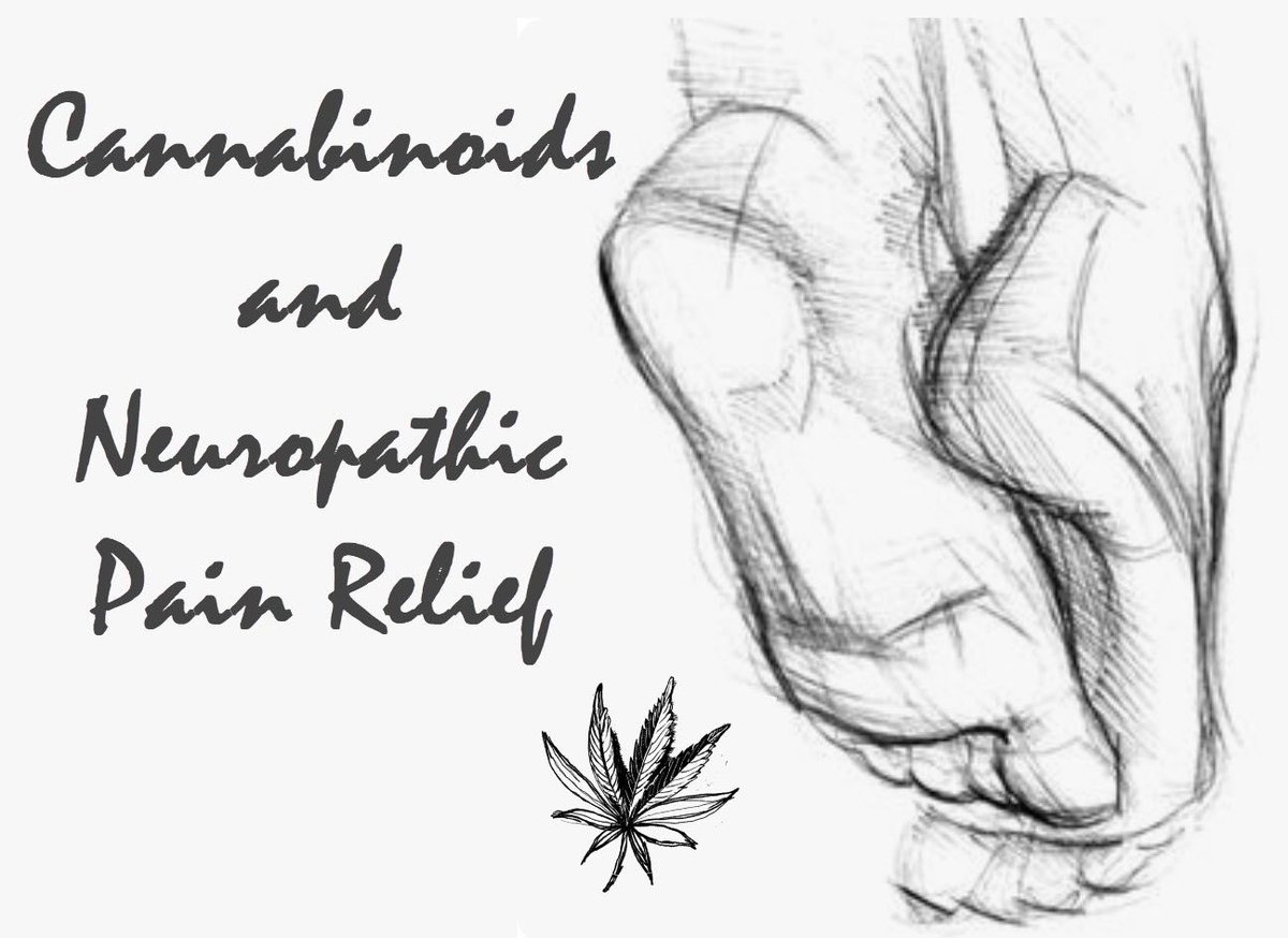 FireTreeShop's tweet photo. Some human trials to test if #cannabis is effective in the treatment of #neuropathicpain have been executed.

Find out the results.

https://t.co/X8hysCnw2g via @cannabis_net #neuropathy https://t.co/OrPOMTQhii