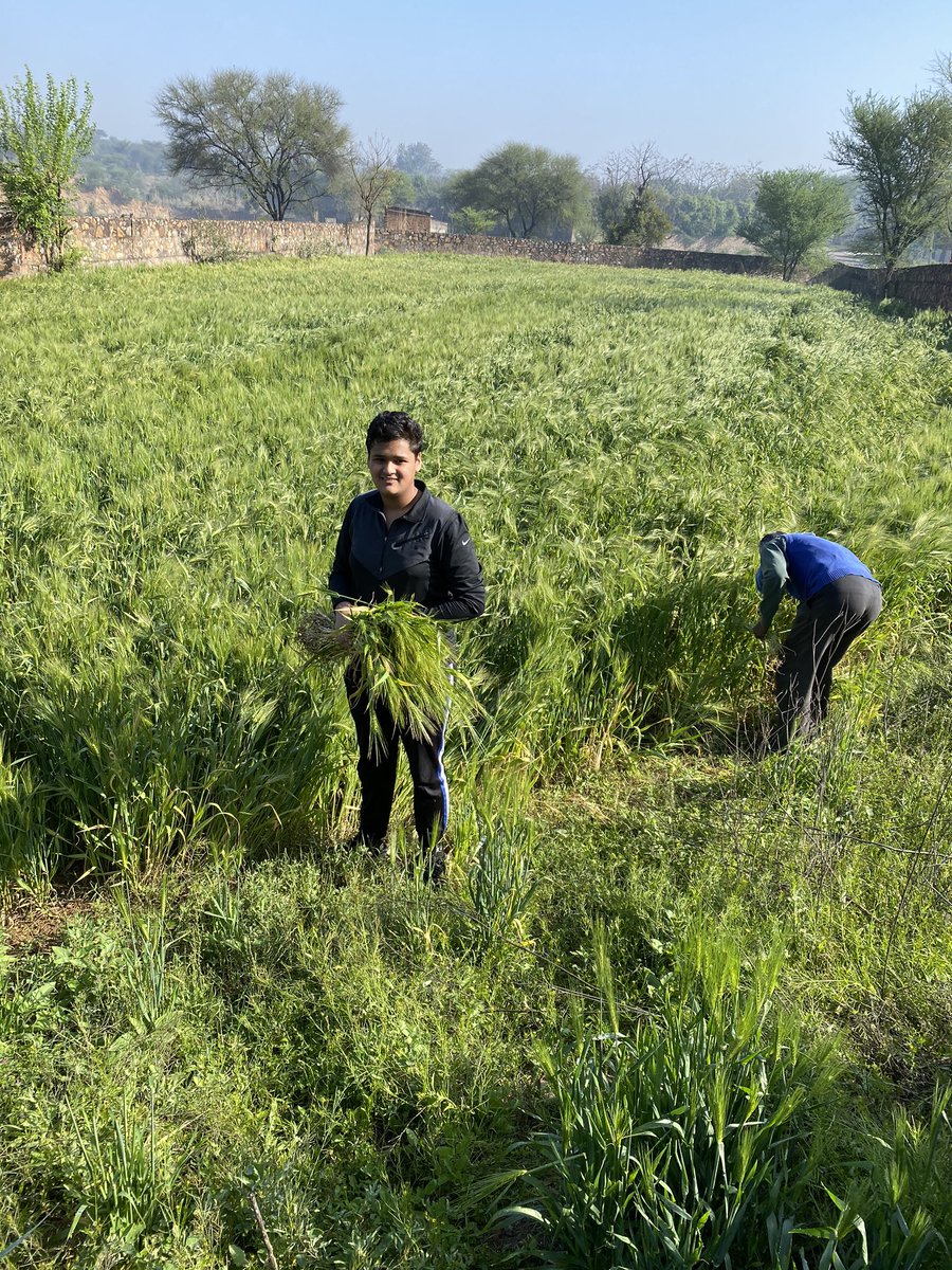 kamalyadav77's tweet photo. #morningmotivation #MorningBeautiful #morningstar #beautifuldestinations #WonderfulEveryday #sunnyday #refreshingday #photooftheday #kamalyadav #abhishek #instagood #Haryana #agriculture #motivationalquote #IncredibleIndia #freshair #Holi2020 https://t.co/tfa6sh2DPw