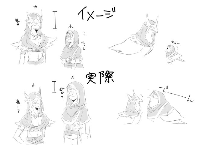白鷹と血雀の大きさ 