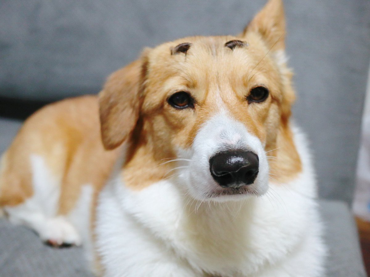 すぐ顔に出る