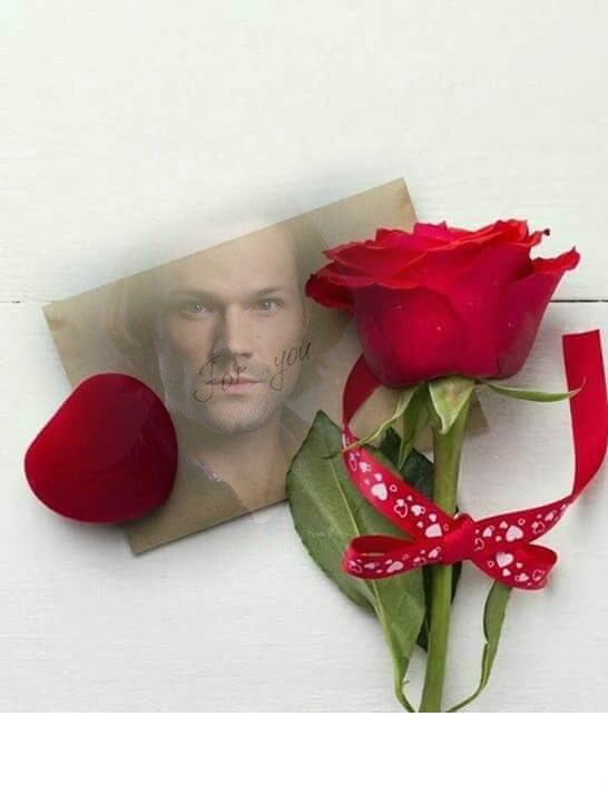 5230FindMe's tweet image. Good Day to @JulesHu863 @kristyl_ @KathyPe19474092 @hanonmohamed2 @Riddy_JP @SlusanSusan