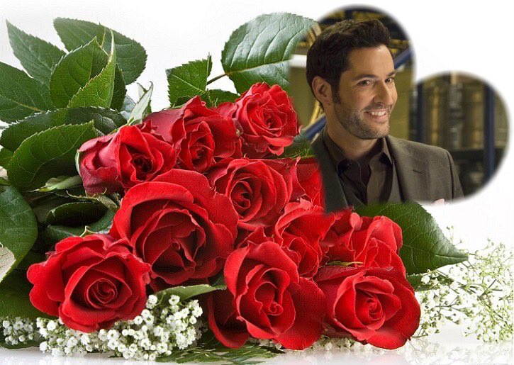 5230FindMe's tweet image. Good Day to @RandomFinGirl @eyesonly71 @emmachammond @Lucifette1 @LuciferContest @_silentsky_ @saveLuciferS41 @Fany00477971 @jnsroof