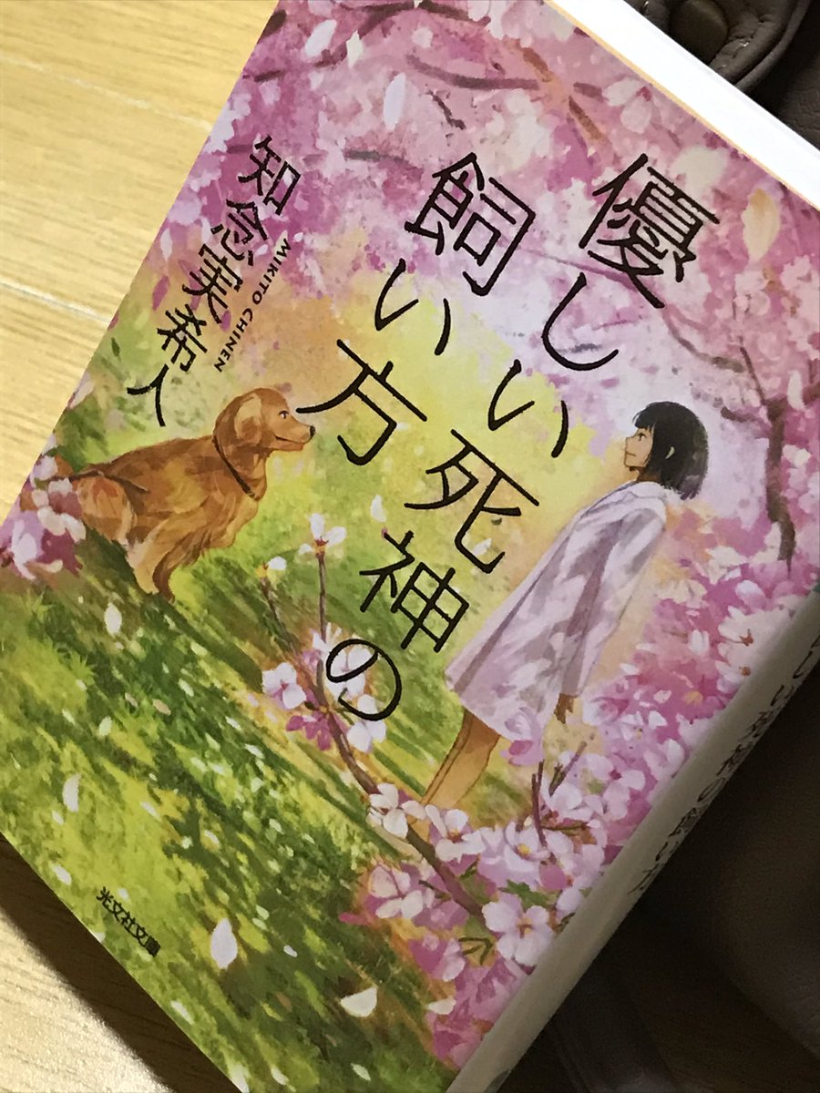 癒し言葉 癒し言葉