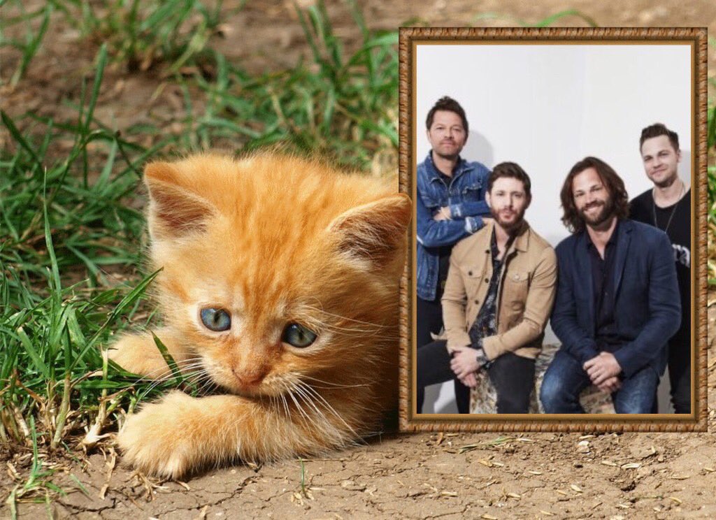 5230FindMe's tweet image. Good Day to @mikelisovitskiy @RockMomSPN @liataghva @ThePotterGeist @nuts_ly @royalotfi1996 @hugsandsnugs67 @anitakearney65 @yui_aya_miu