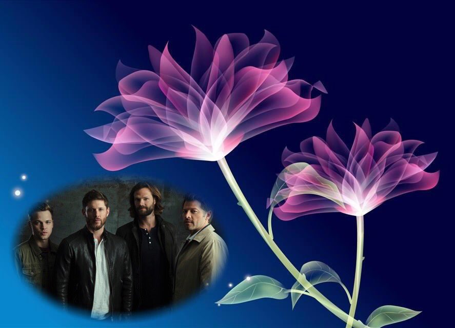 5230FindMe's tweet image. Good Day to my #SPNFamily