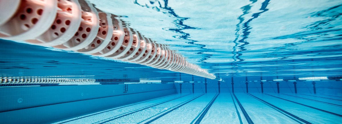 SJRCPort's tweet photo. Last week the SJRC Swimming Squad competed at the Diocesan Swimming Carnival in Lismore. Congratulations to all students who attended. Please click the link below for results, records and qualifiers for the NSWCCC Carnival.
https://t.co/kkV4lM8nnD https://t.co/d7mIJZbbR9