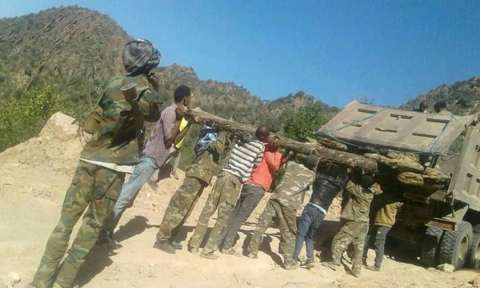 fishhailu83's tweet photo. According to unconfirmed reports, this👇is how #Asimba forest in Tigray/Irob woreda getting destroyed. One of the most iconic nature in Tigray/Ethiopia. Irob area (now desert) was full of forest until it became military camp aftermath of Ethio-Ere war. @MekUniETH @TourismETH https://t.co/TJc41P9T64