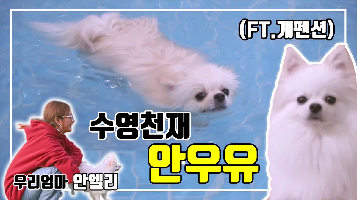 5시에 유튜브 업로드 예정🥰
이번엔 우유랑 함께 :)
+아직 영어 자막문제가 해결이 안되어서
시간이 조금 걸릴것 같아요 ㅠㅠ 최대한 빨리 해결할게 미안해 사랑해요!!!!!!!!