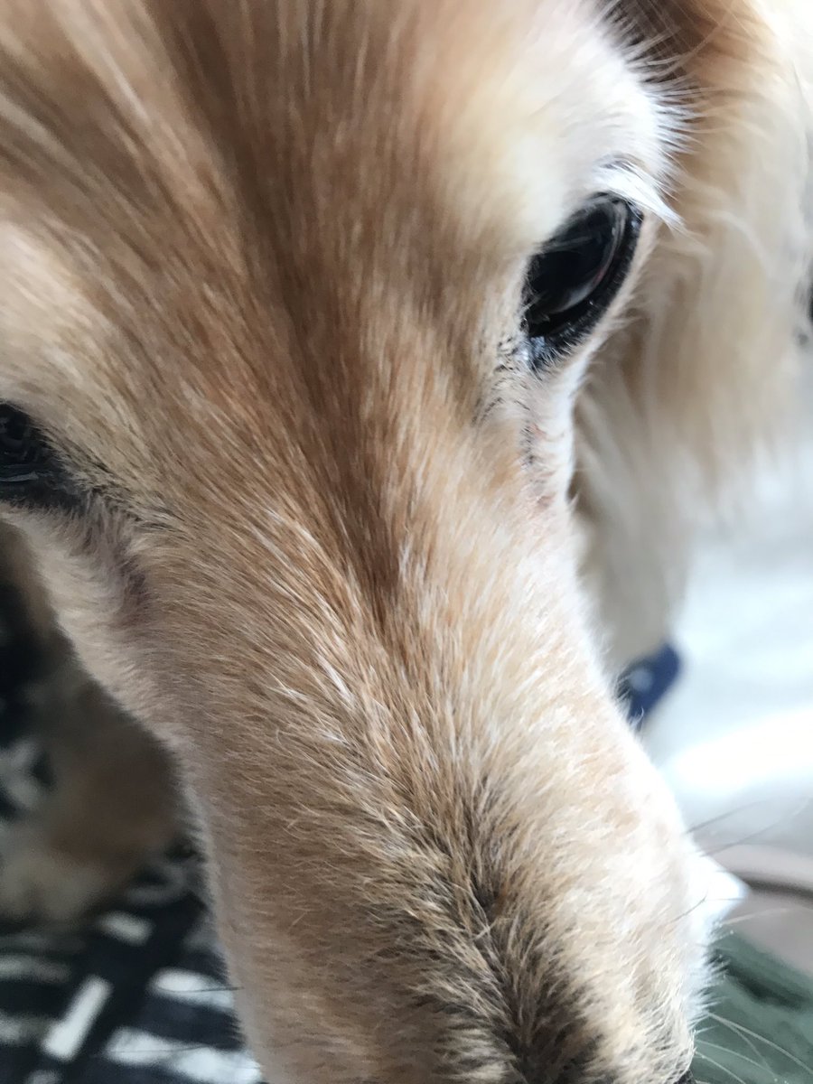 8d 99 84 Ef 96 Ef 92 Bf Twitter Search