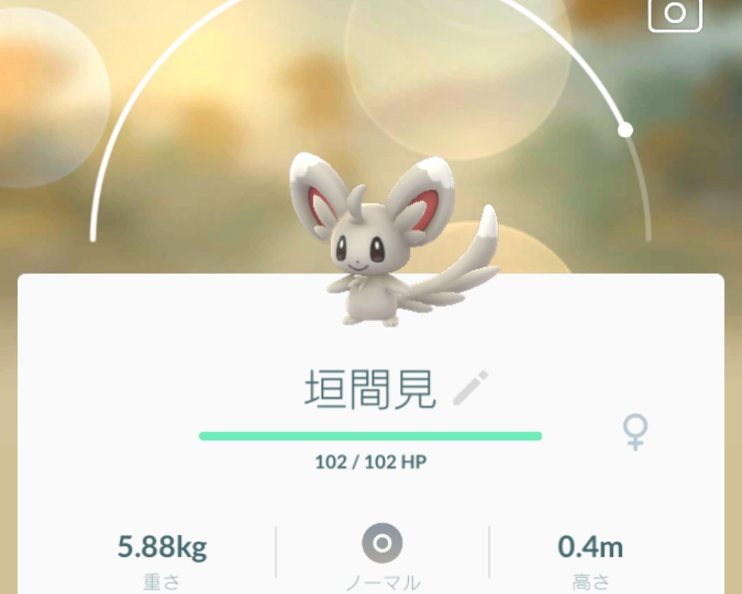 つきよのポケモンゲットだぜ Twitter Search