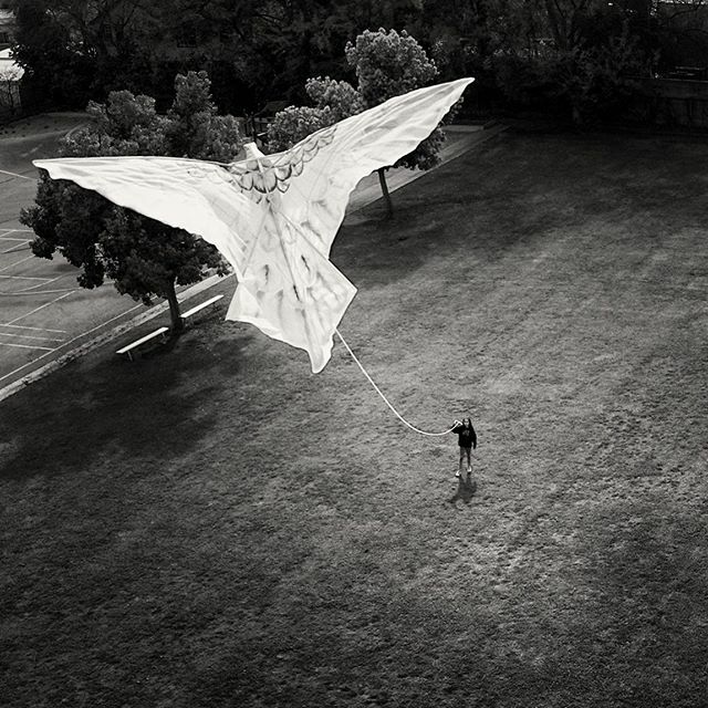 RhetBear's tweet photo. MJ's first kite flying experience. 
#stupidthingsyoudowithyourkids
.
.
.
.
#bnw #blackandwhite #blackandwhitephotography #monochrome #monochromatic #kite #kiteflying https://t.co/Xqxanj6c4U https://t.co/eahgD0a9Y4