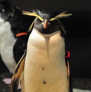 악 귀여워 ㅋㅋㅋㅋㅋㅋㅋㅋㅋㅋㅋㅋㅋㅋㅋㅋㅋㅋㅋㅋㅋㅋㅋㅋㅋㅋㅋㅋㅋㅋㅋㅋㅋㅋㅋㅋ