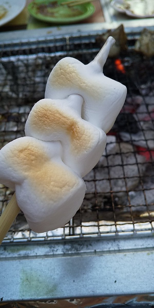 古瀬絵理 息子が休校になり 通信教育教材 ジグソーパズル くみくみスロープ スウィッチ 百人一首 モノポリー 将棋 オセロ 人生ゲーム トランプ 自転車 フリスビー サッカー キャッチボール 歴史漫画にドラえもん ワンピース ハンバーグ作り