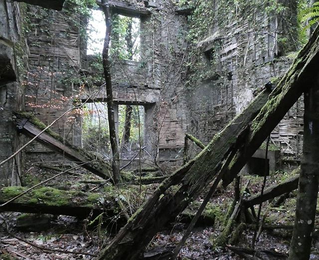 _IntroVentures's tweet photo. AbandonedPlaces&amp;CoolSpaces

#abandoned #urbandecay #exploremore

📸 https://t.co/zjeIlVFx2x via https://t.co/74NKZtafqs https://t.co/Gs2RVEyLJC