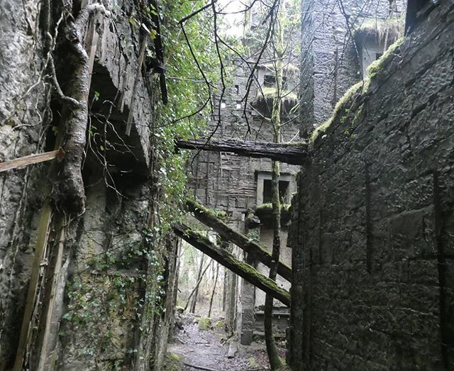 _IntroVentures's tweet photo. AbandonedPlaces&amp;CoolSpaces

#abandoned #urbandecay #exploremore

📸 https://t.co/zjeIlVFx2x via https://t.co/74NKZtafqs https://t.co/Gs2RVEyLJC