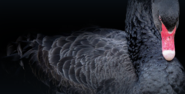 Coronavirus, cigno nero a impatto esponenziale (e le opportunità che offre)

Post di <a href="/andpor75/">Andrea Porcu</a>, direttore generale del <a href="/cmsantagostino/">Santagostino</a> 

via <a href="/econopoly24/">Econopoly</a>  econopoly.ilsole24ore.com/2020/03/08/cig…