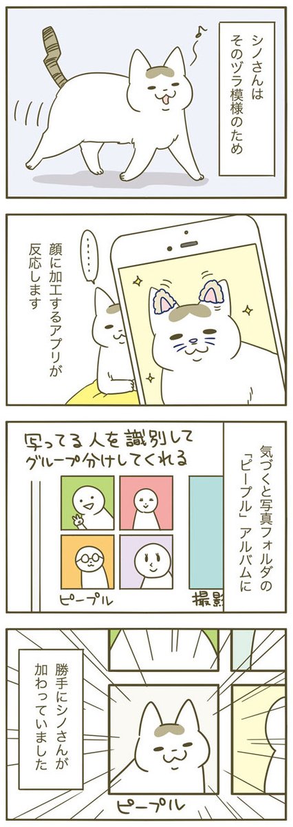 認識される猫 