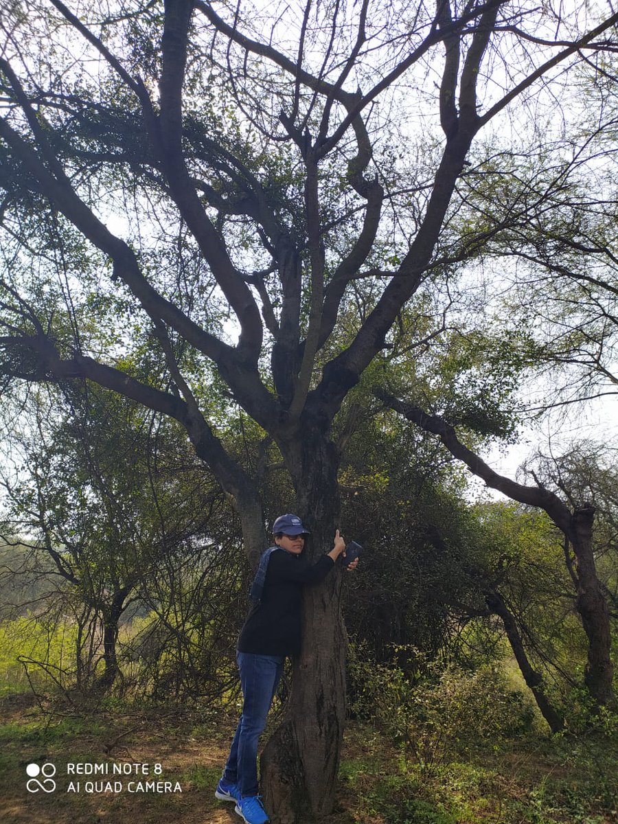 Indian women did a #Chipkoandolan in the 1970s to #SaveIndianForests 
We will do it again as we want our children to have a future which is not possible if we keep opening our forests for industrialisation
#InternationalWomensDay2020 #HappyWomensDay2020
#WomenStandWithAravallis
