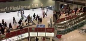 Tommasolabate's tweet photo. Migranti economici in fuga dalle zone di guerra. 
Foto.

(Due preghiere. Rispettate le regole. E, quando questo sarà finito, ricordate di non fare ad altri ciò che non avete voluto fosse fatto a voi stessi). https://t.co/WpRrz7NyLr