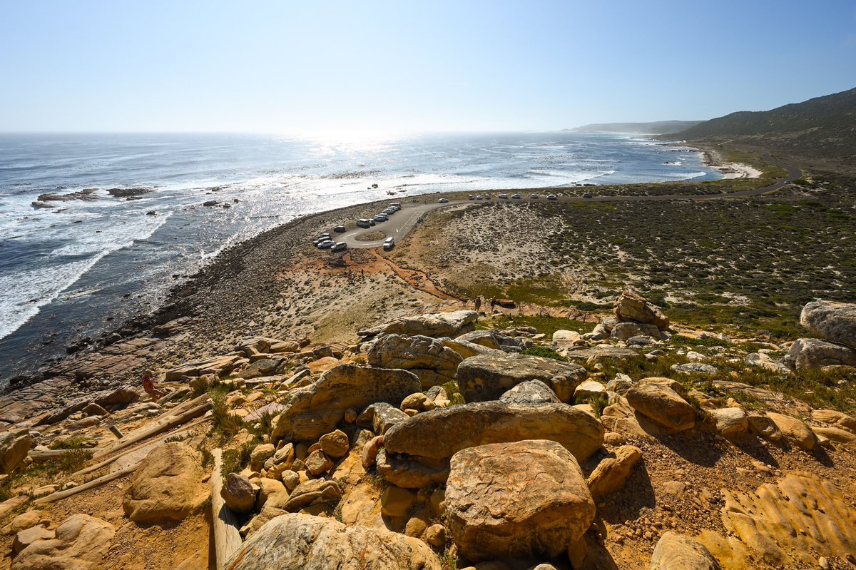 CorneliaSchmid's tweet photo. My South Africa Part IV
#CapeOfGoodHope #SouthAfrica https://t.co/WN2JDnTC8K