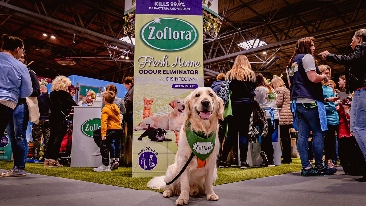 youmeandwoody's tweet photo. Thank you so much @LoveZoflora for inviting us to join you on your stand yesterday. It was an amazing experience and I've definitely stocked up mine and my families Zoflora shelves for a while (would be rude not to I guess) 🌻🌺🌼

Woody is my little superstar! 🤩 #Crufts2020 https://t.co/z4xz6WWfZf