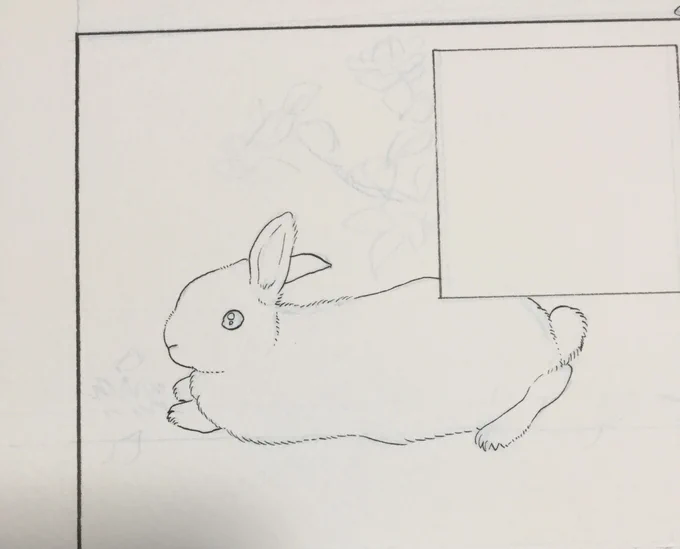 かわいいうさぎ
きんちゃん 