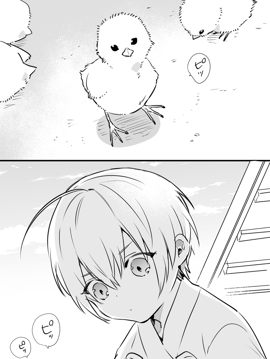 刀剣乱舞 小田原くにちょぎとひよこの話 T Co 7v2ipkshl9の小 Owari 1 29閃華ア14abの漫画