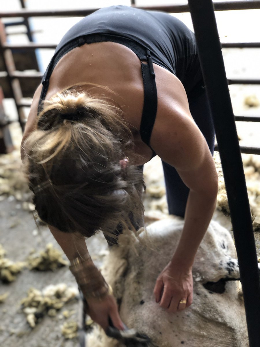 AmandaOwen8's tweet image. Here’s to strong women.
May we know them.
May we be them.
May we raise them.
#InternationalWomensDay 

*Initial photograph is of the first lady of the Dales, Hannah Hauxwell*