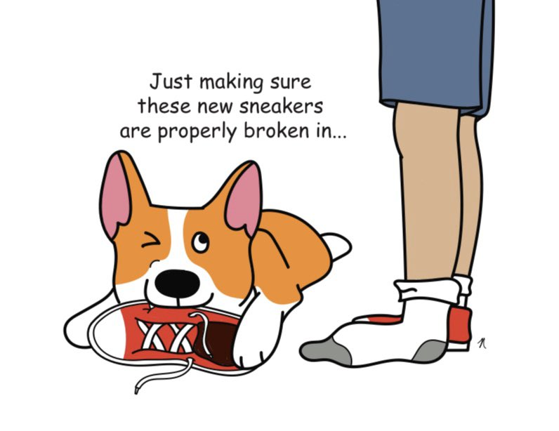 3crazycorgis's tweet photo. With three corgis in the house, we have to make sure everything is out of their reach! #corgilife https://t.co/hp9aX2TcqH