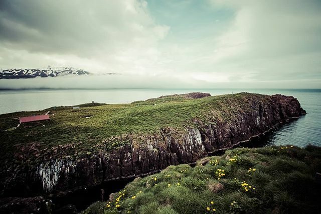 Nice view just before sunset while watching thousands of puffins sitting or flying around (not pictured) 
June 2014, East Fjords, Iceland ift.tt/32Yg7Eu
