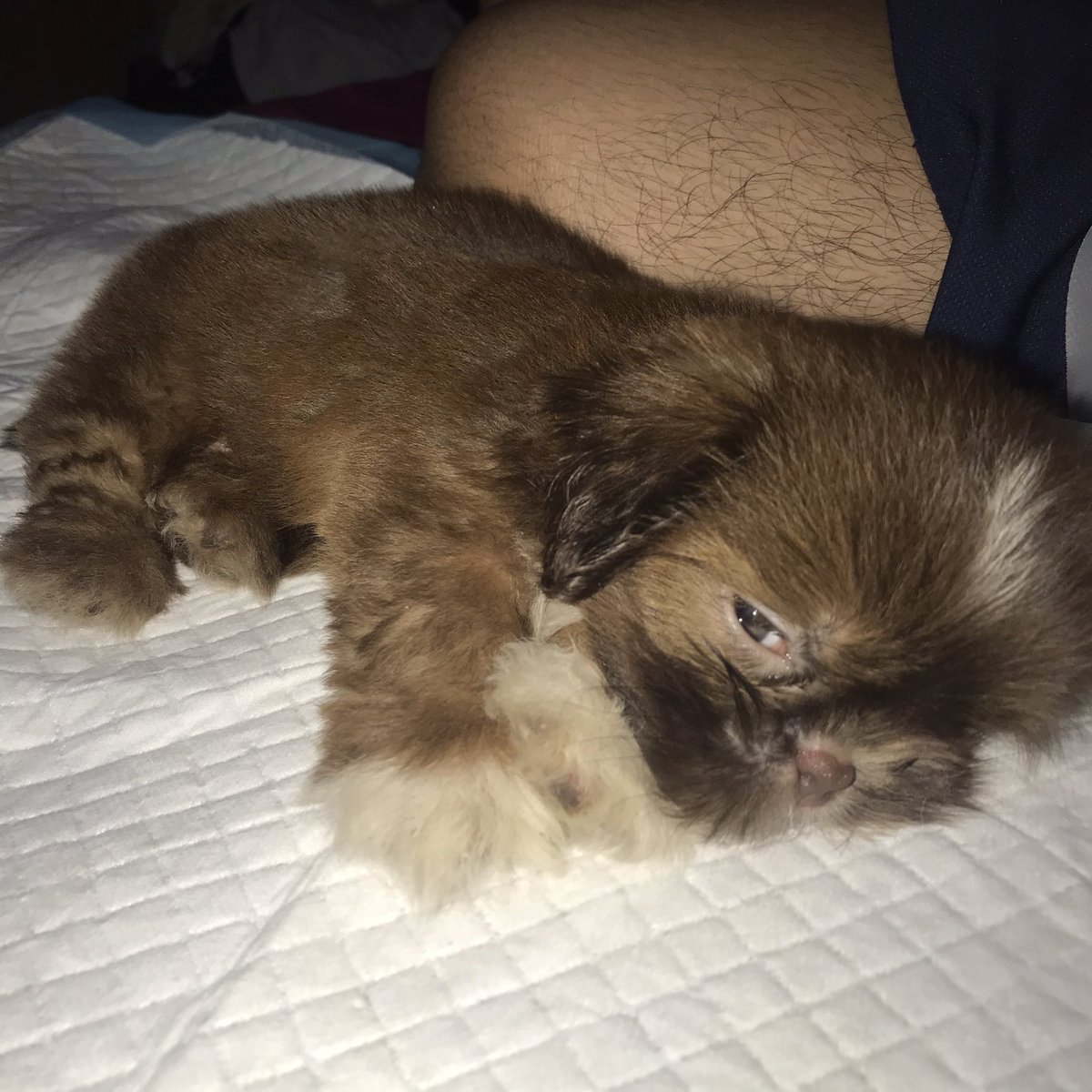 Emilleeeeeeeeee's tweet photo. Baby!!!!! ❤️ https://t.co/sOHmzX9BQi