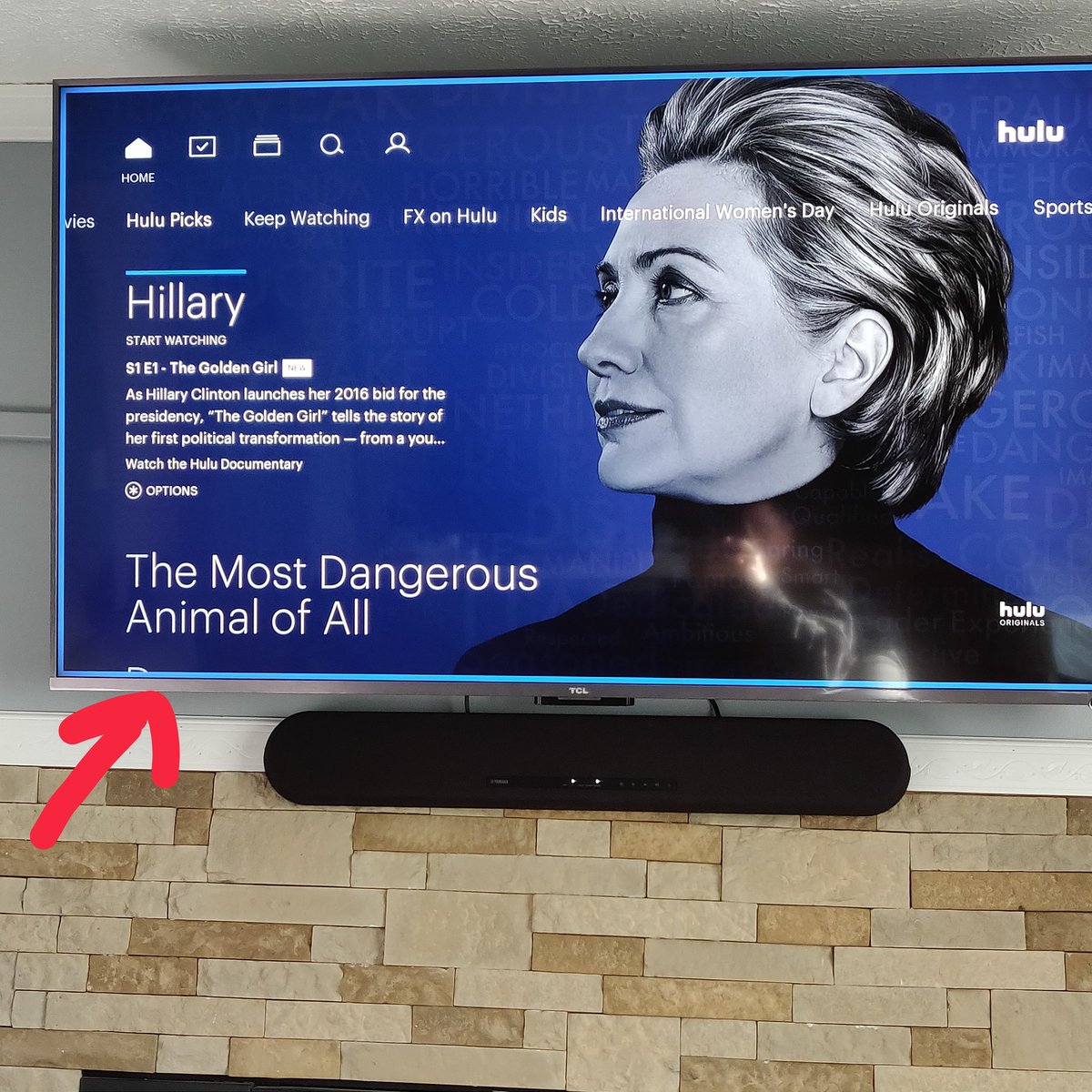 ShootersLane's tweet photo. Look what @hulu was telling me this morning. I think they are onto something!!
@realDonaldTrump @DonaldJTrumpJr @DLoesch @benshapiro @charliekirk11 https://t.co/LRc3uB5oPf