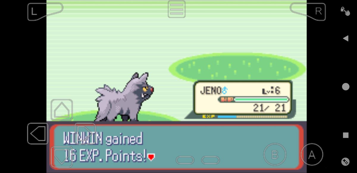 JENO WHY DID YOU KILL THE TAILOW
