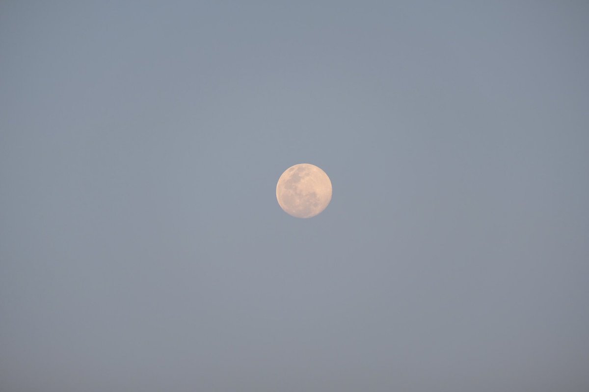 พระจันทร์วันนี้ กลมน่ารักเลยทีเดียว