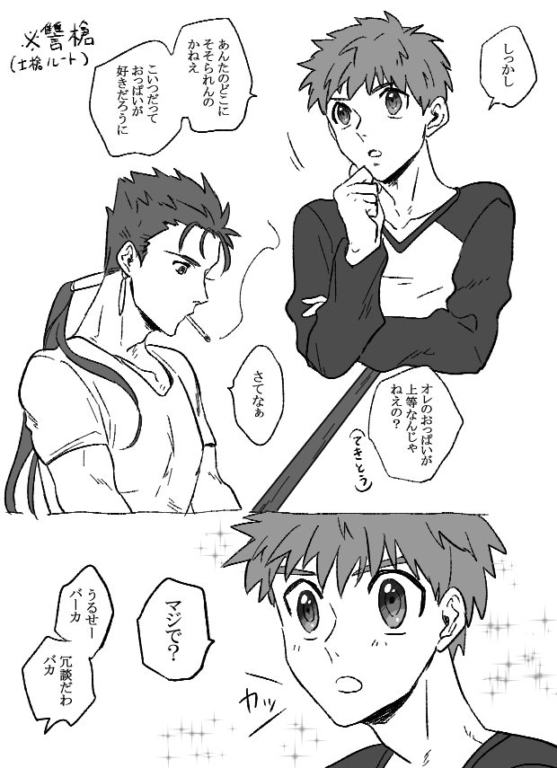 一回も呟いたことないと思うけど、讐槍もめっちゃ好きです
士槍からみたアンリ観みたいになっちゃうけど 