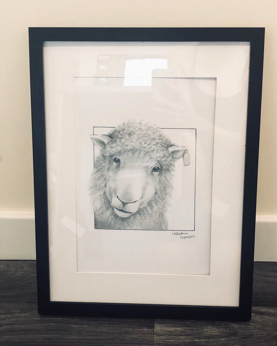 HanMeeks's tweet photo. Hello Sunday👋🏽!!.... Framed ‘Barbara the Sheep’ print! Definitely one of my favourites❤️ 
(Message me to purchase)
•
•
•
•
#sheep #farm #sketch #pencilsketch #sketchbook #blackandwhite #art #artist #scottishartist #arthub https://t.co/17XfawYQ4A