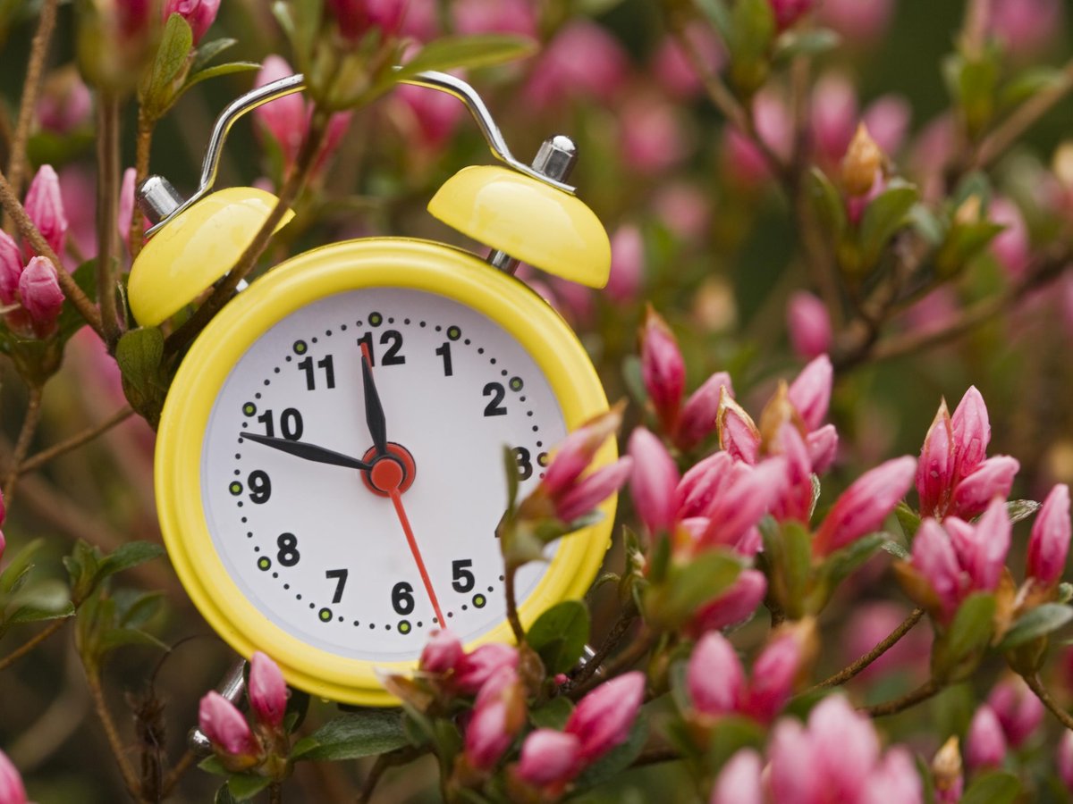TeamChryslerON's tweet photo. With more sunshine and longer days coming up, enjoy even more adventures with the help of a new #Chrysler, #Dodge, #Jeep, or #RAM truck! #DaylightSaving #DaylightSavingTime #SpringForward https://t.co/9VVNlo1cfj