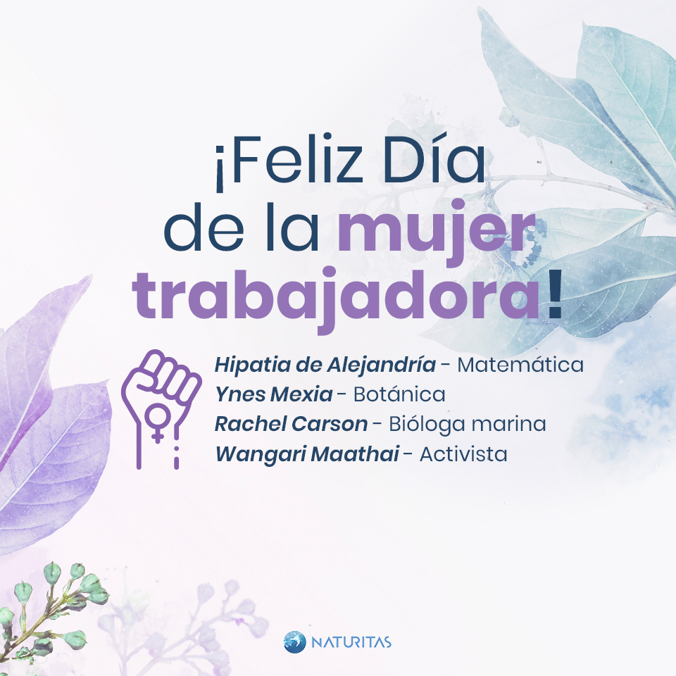 naturitas_es's tweet photo. ¡Feliz día a todas las #naturlovers!
Juntas, somos más❗

Encuéntranos en 🖱️ https://t.co/zNBNlKICoT

#Naturitas #naturitascontigo #naturitasrecomienda #cuidadosnaturitas #naturlovers #genuinamentenatural #genuinamentenaturitas #alimentacionbio #suplementacionnatural #mamaybebe https://t.co/wagQIK9lPD