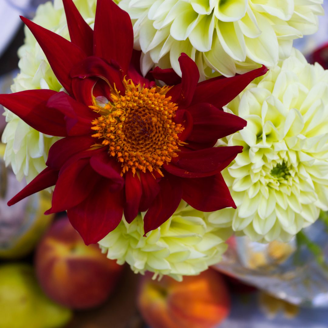 #DaylightSavings means that spring is officially around the corner! 💐 What are you most looking forward to this season?