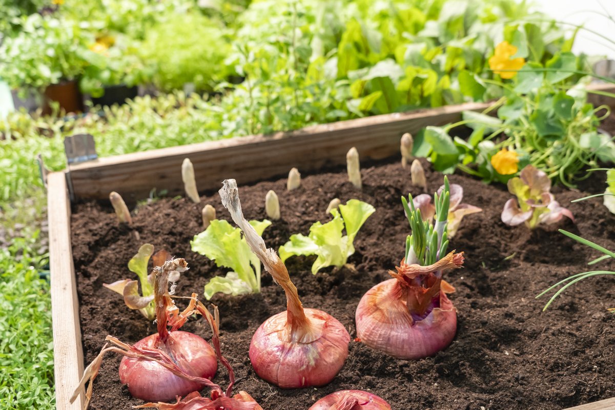 BEC_Bilbao's tweet photo. Venta directa y degustación de productos, representación del movimiento slow food, show cookings…¡Gustoko es un no parar! No te pierdas el gran mercado de abastos con productos locales, sostenibles y de calidad en el que ha convertido @Gustoko_BEC a #BEC. https://t.co/Fxqmspms9a https://t.co/H4kqZKHzqi