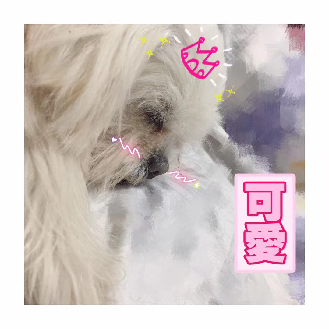 vansim1's tweet photo. 想你❤️ https://t.co/eKoXD1u55N