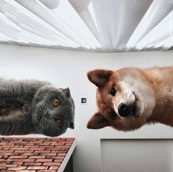 찍어주면 탄핵한다는 정의당 gujoron.com/xe/1176677
민주당과 정의당이 짬짜미를 하지 않았다는 알리바이를 만들어야 이깁니다.
우리가 이만큼 온 것도 박근혜가 통진당 이석기를 때려잡아 친북당 이미지를 벗은 덕택인데.