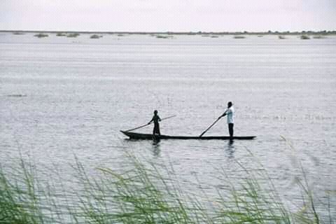BergingsU's tweet photo. Barotse plains come August this will be dry land again.Visit mongu and be part of the great kuomboka ceremony.#4thApril,2020 https://t.co/HZq7fRXN3X