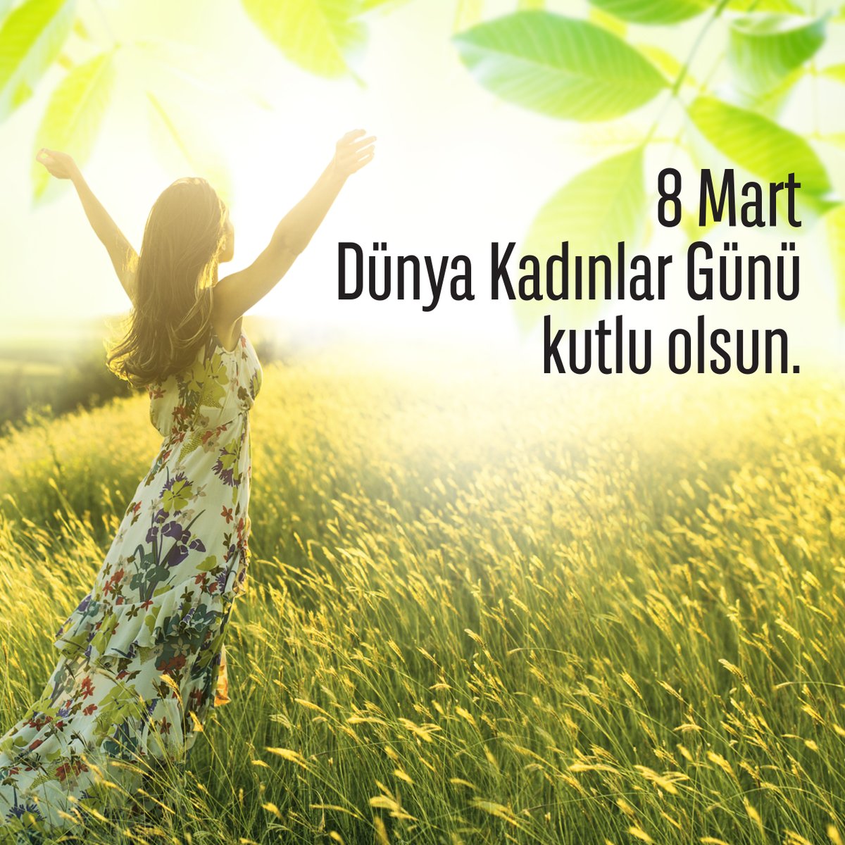 CistusAntiVirus's tweet photo. Yüreğindeki sınırsız sevgi ve sabırla dünyayı güzelleştiren kadınlarımız. Dünya Kadınlar Gününüz kutlu olsun. 
#8mart #dünyakadınlargünü https://t.co/NANPk4n7Pa